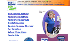 Desktop Screenshot of bestbuddydogwash.com