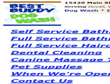 Tablet Screenshot of bestbuddydogwash.com